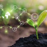 ESG Reporting