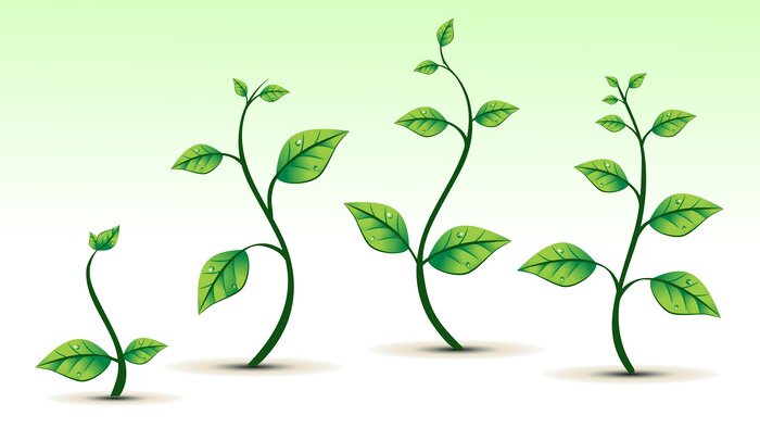 https://www.irisbusiness.com/wp-content/uploads/2024/01/vector-growing-leaf-1-1.jpg